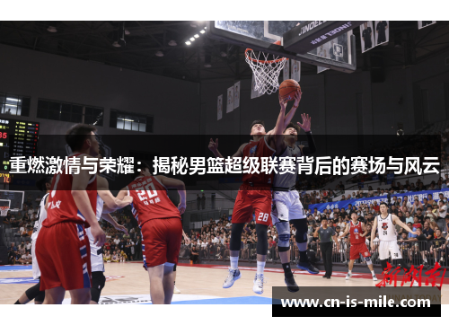 重燃激情与荣耀：揭秘男篮超级联赛背后的赛场与风云