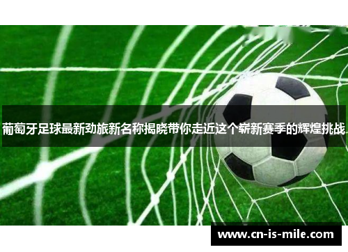 葡萄牙足球最新劲旅新名称揭晓带你走近这个崭新赛季的辉煌挑战