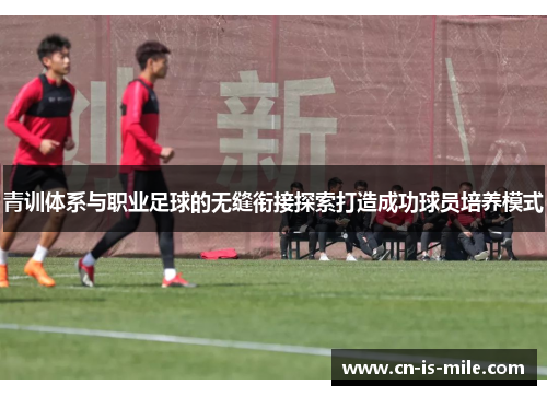 青训体系与职业足球的无缝衔接探索打造成功球员培养模式