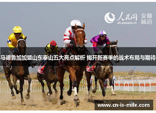 马德鲁加加盟山东泰山五大亮点解析 揭开新赛季的战术布局与期待