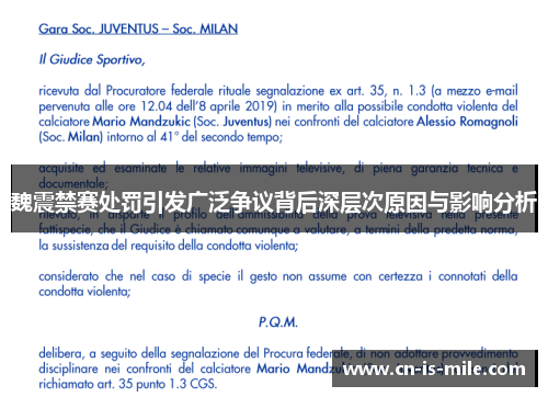 魏震禁赛处罚引发广泛争议背后深层次原因与影响分析