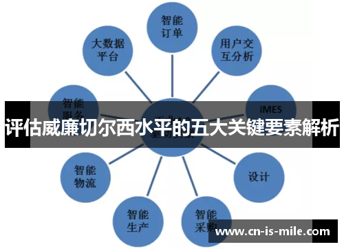 评估威廉切尔西水平的五大关键要素解析