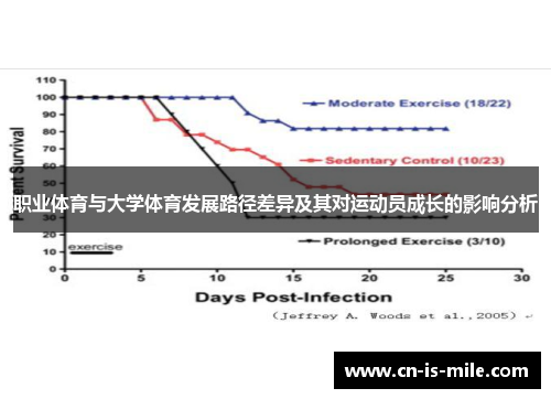 职业体育与大学体育发展路径差异及其对运动员成长的影响分析